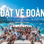 Đặt vé máy bay theo đoàn đi Nha Trang giá rẻ và an toàn nhất